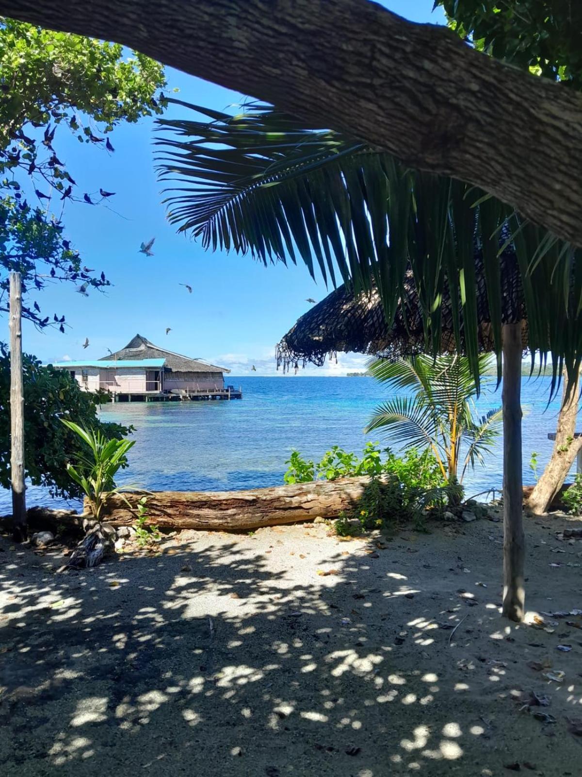 Imagination Island Eco Resort Gizo Esterno foto
